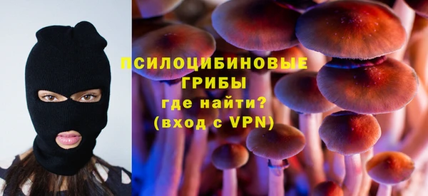 прущая мука Пересвет