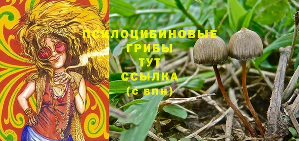 винт Остров