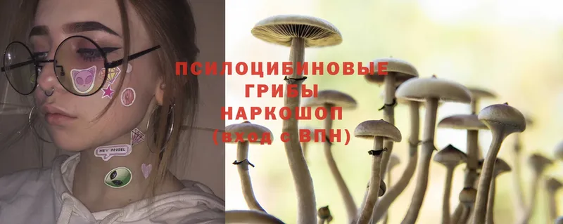 Псилоцибиновые грибы MAGIC MUSHROOMS  Исилькуль 