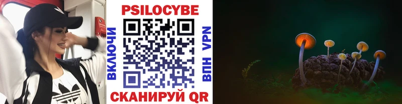 Псилоцибиновые грибы ЛСД  Исилькуль 